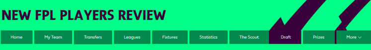 New FPL Players Review 1024x138 - The 2021/22 Fantasy Premier League Guide